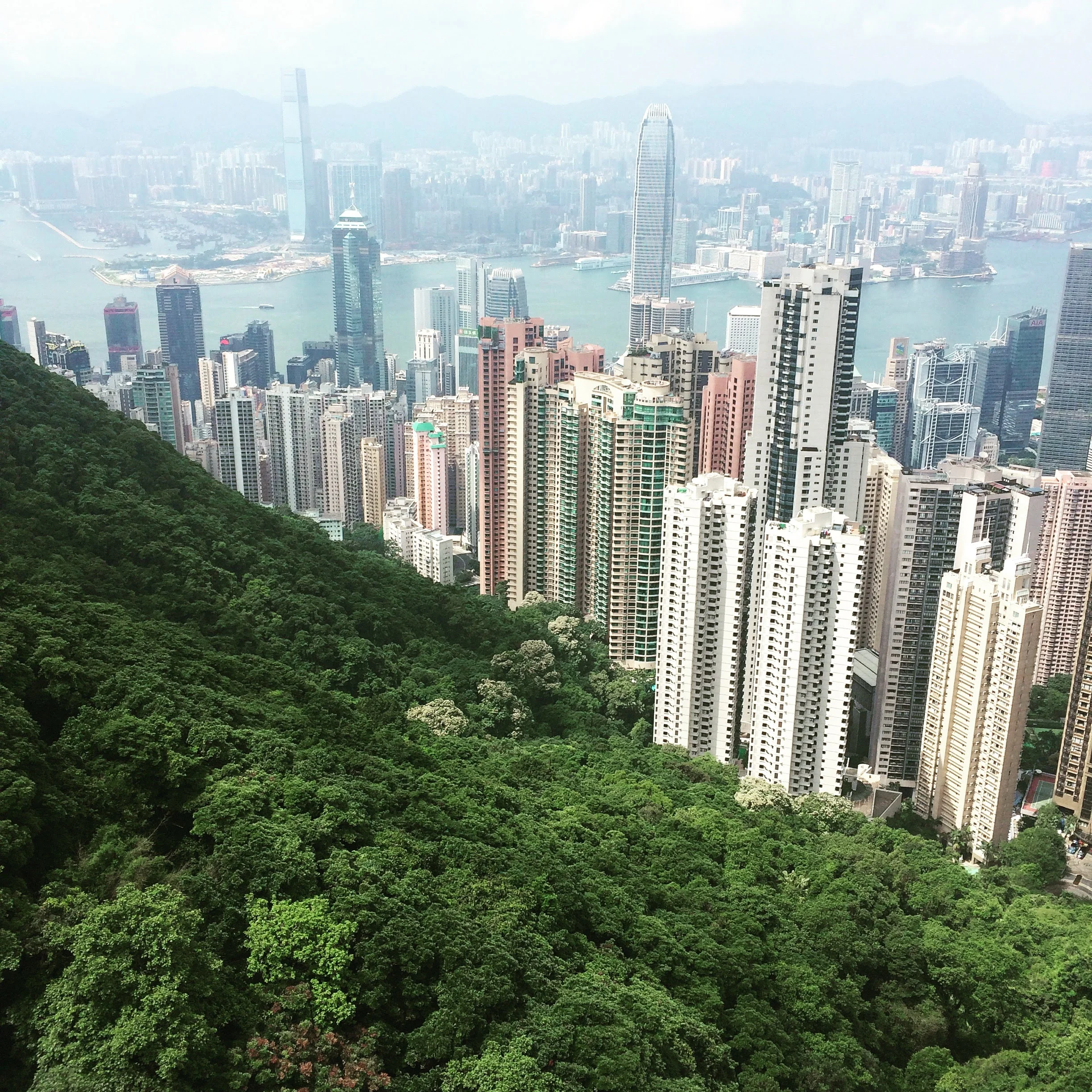 Wanna meet up in Hong Kong?